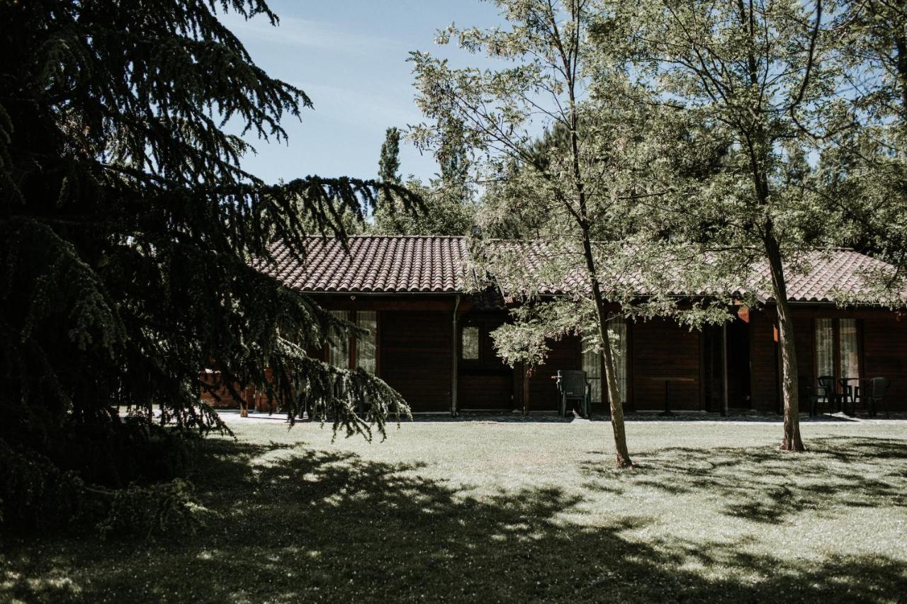 L'Anfora Country Club Bed & Breakfast Basciano ภายนอก รูปภาพ